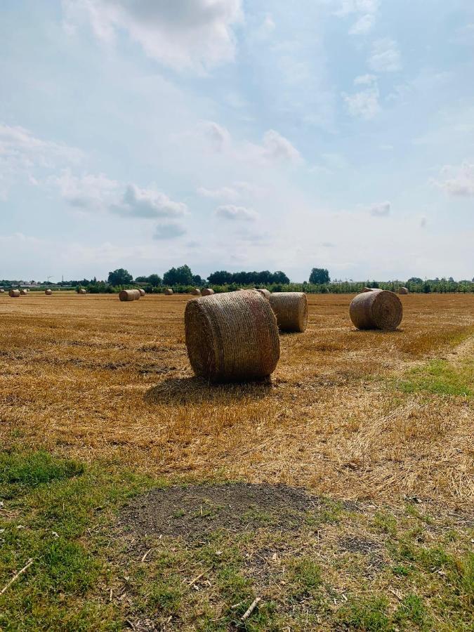 Appartamento Tra Verde E Citta Bolonya Dış mekan fotoğraf
